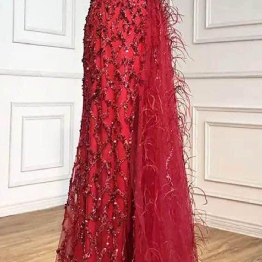 Elegant Red Beaded Gown with Feather Details